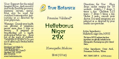 Helleborus Niger 29x_30ml_v1 (Helleborus Niger 29x 30ml V1)
